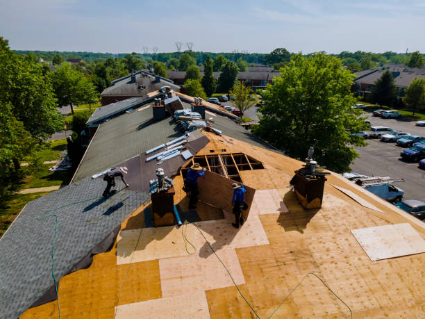 Best Metal Roofing Contractor  in Vista Santa Rosa, CA